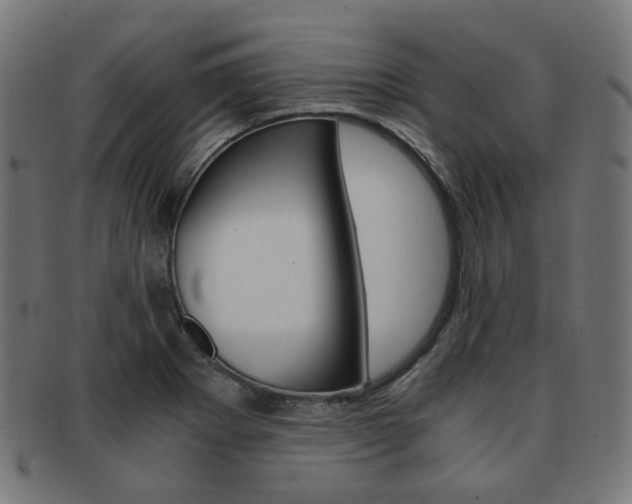 X0000092021273200709061322