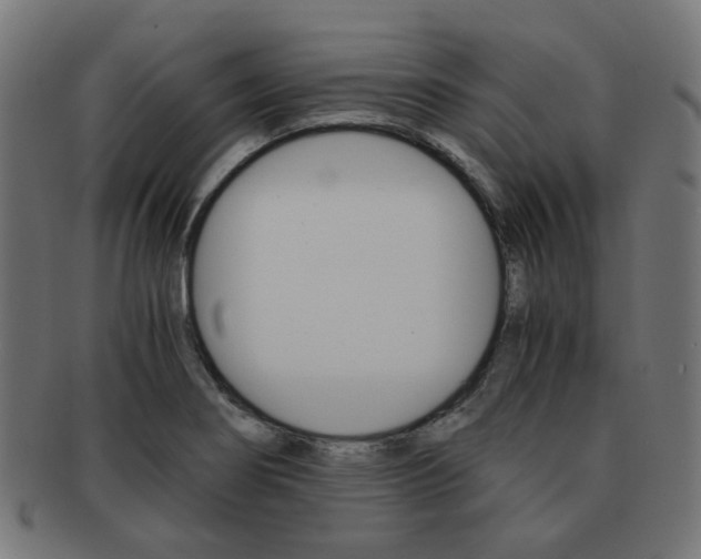 X0000092021274200709061322