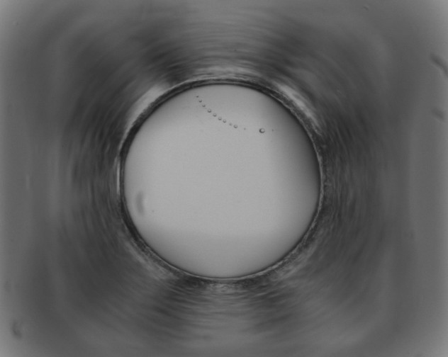 X0000092021275200709061322