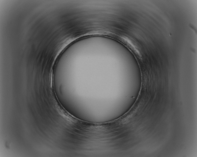 X0000092021276200709061322