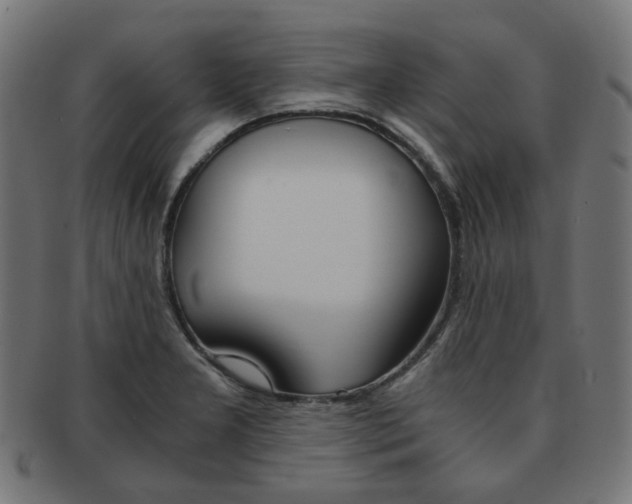 X0000092021277200709061322