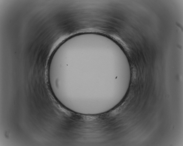X0000092021278200709061322