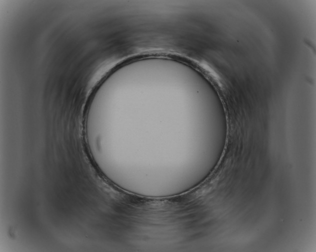 X0000092021279200709061322