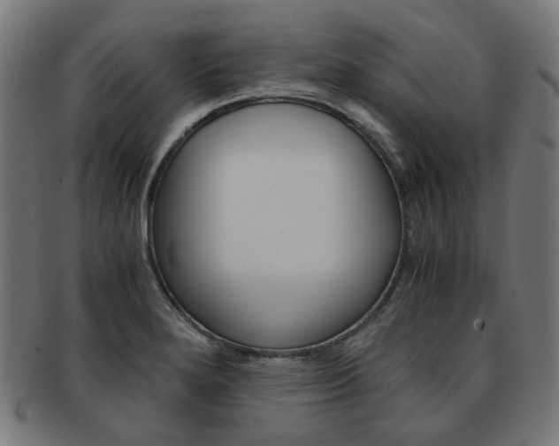 X0000092021280200709061322
