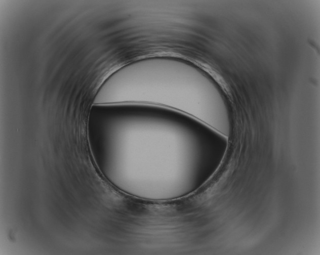 X0000092021281200709061322