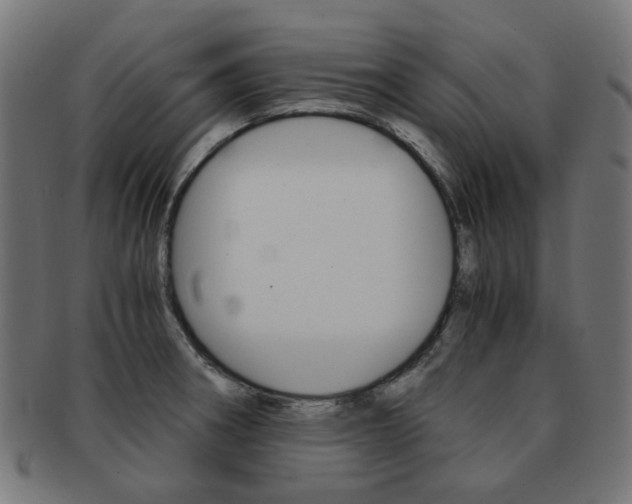 X0000092021282200709061322