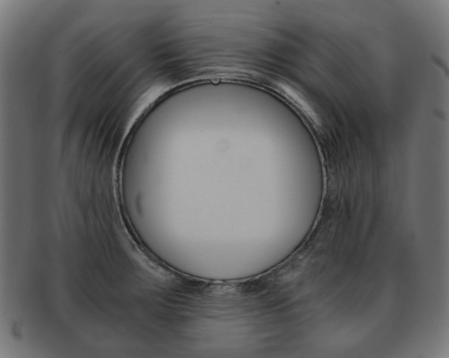 X0000092021283200709061322