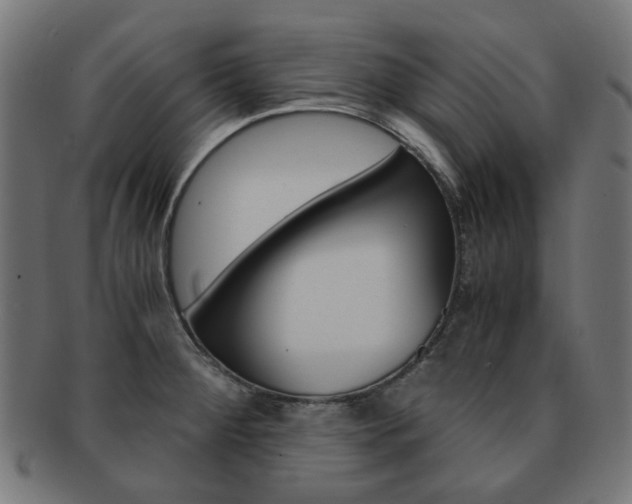 X0000092021284200709061322