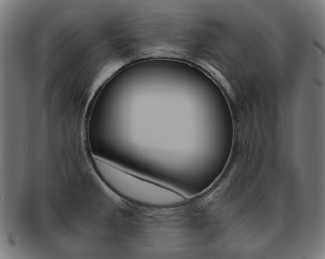 X0000092021285200709061322