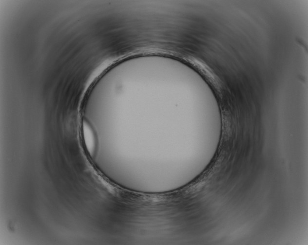X0000092021286200709061322