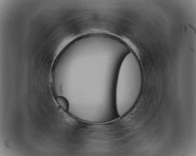 X0000092021287200709061322