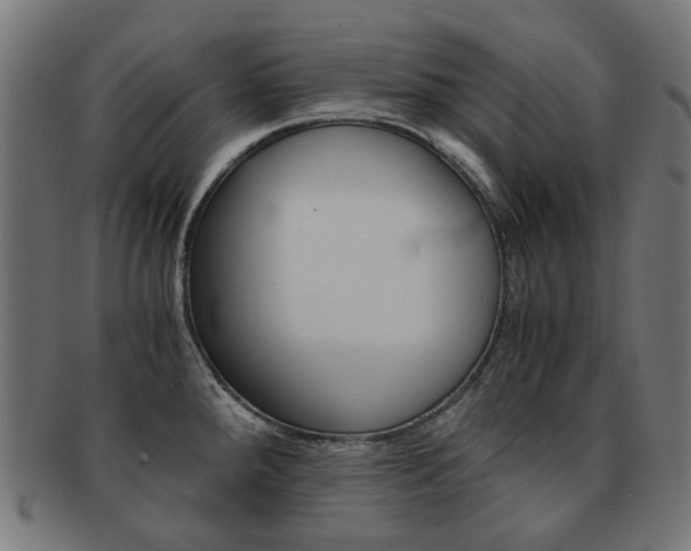 X0000092021288200709061322