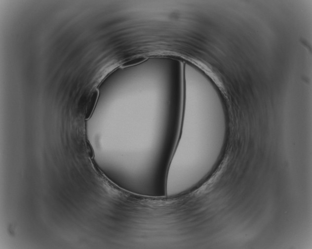 X0000092021289200709061322