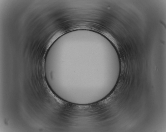 X0000092021290200709061322