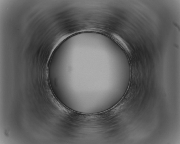 X0000092021292200709061322