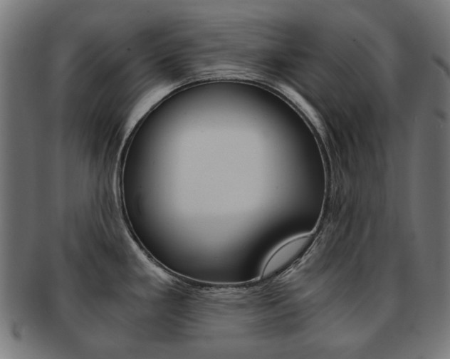 X0000092021293200709061322