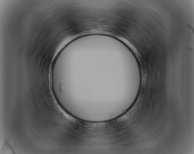 X0000092021294200709061322