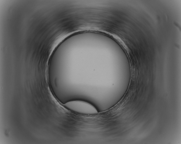 X0000092021295200709061322