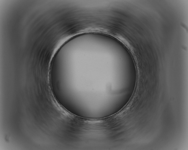 X0000092021296200709061322