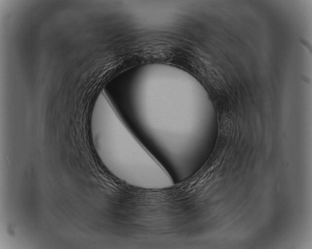 X0000092021297200709061321
