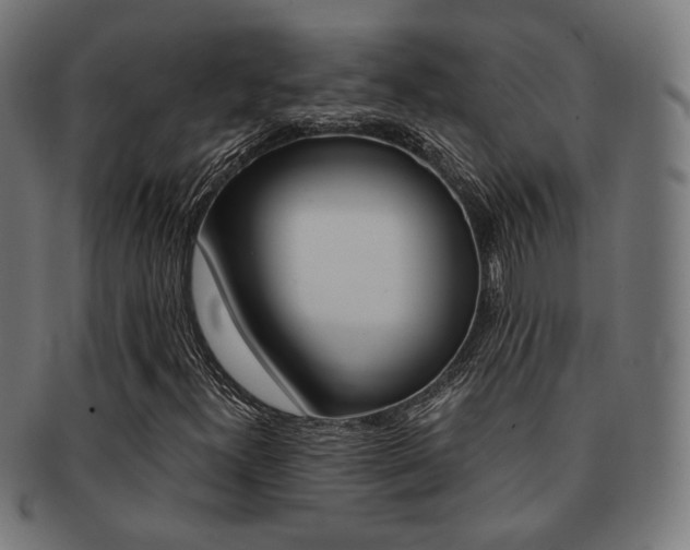 X0000092021300200709061321