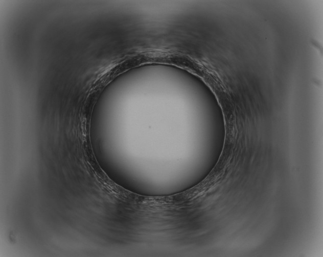 X0000092021301200709061321