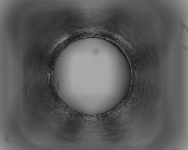 X0000092021302200709061321