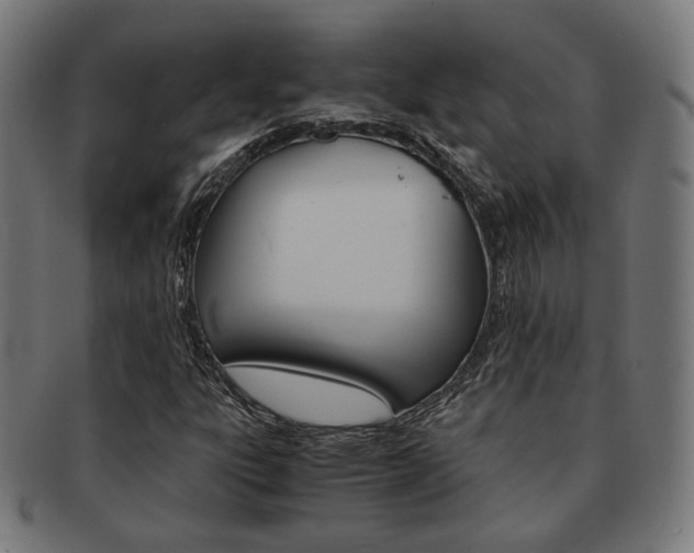 X0000092021303200709061321