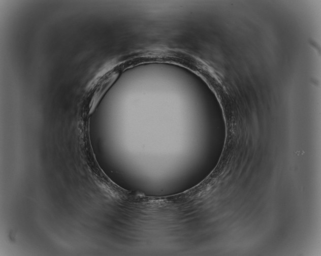 X0000092021304200709061321