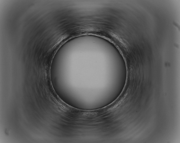 X0000092021305200709061321