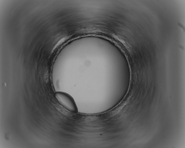 X0000092021306200709061322