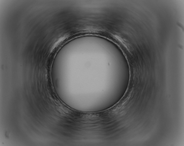 X0000092021307200709061322