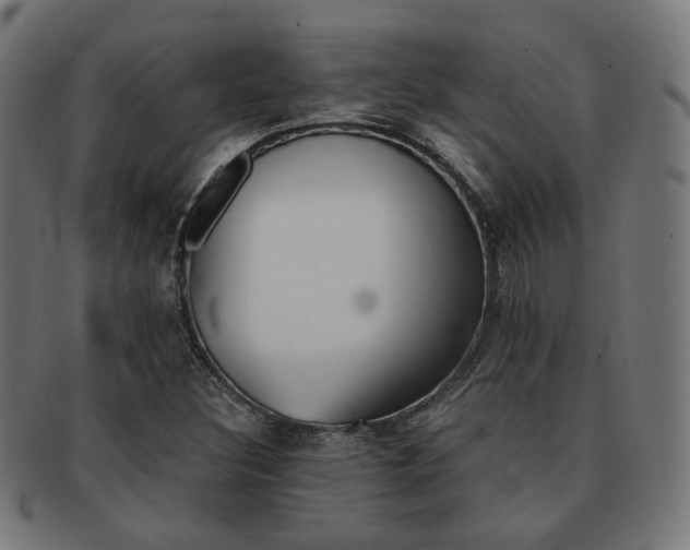 X0000092021308200709061322