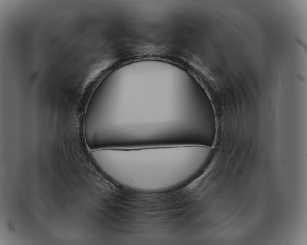 X0000092021309200709061322