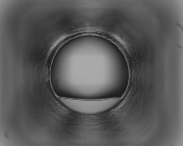 X0000092021310200709061322