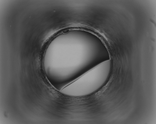 X0000092021311200709061322