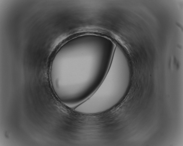 X0000092021312200709061322