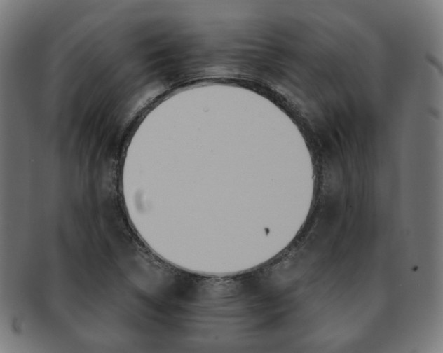 X0000092021314200709061322