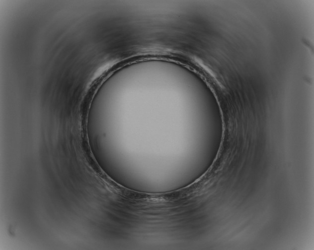 X0000092021315200709061322
