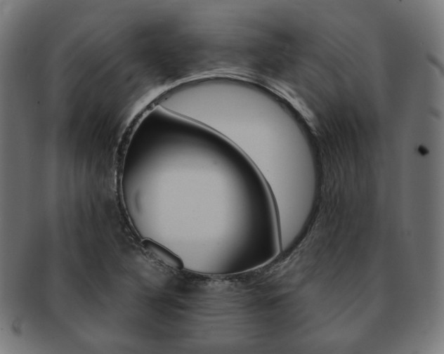 X0000092021316200709061322
