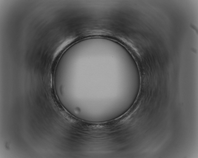 X0000092021317200709061322