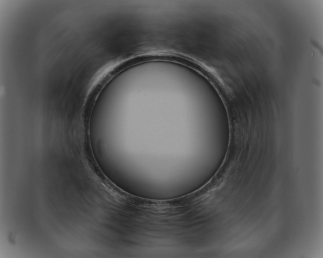 X0000092021319200709061322