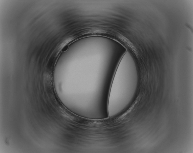X0000092021321200709061322