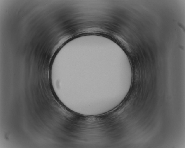 X0000092021322200709061322