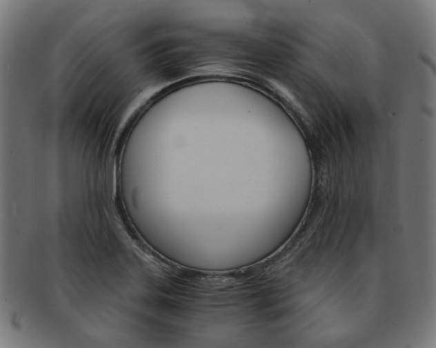 X0000092021323200709061322