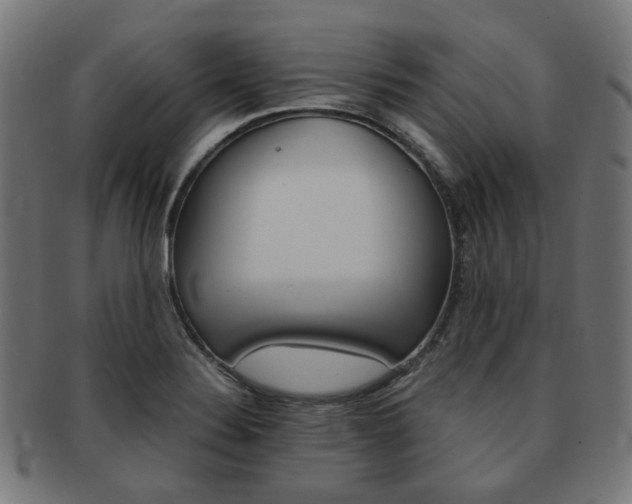 X0000092021324200709061322