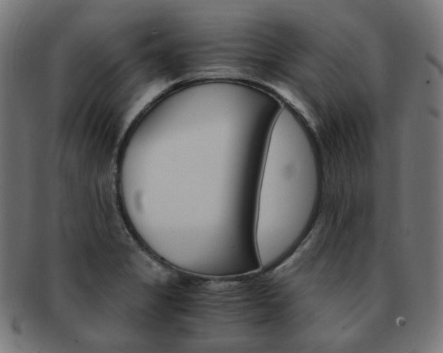 X0000092021325200709061322