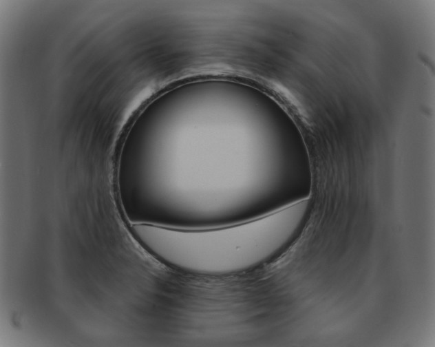 X0000092021326200709061322