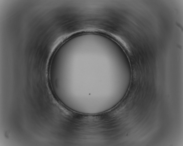X0000092021327200709061322