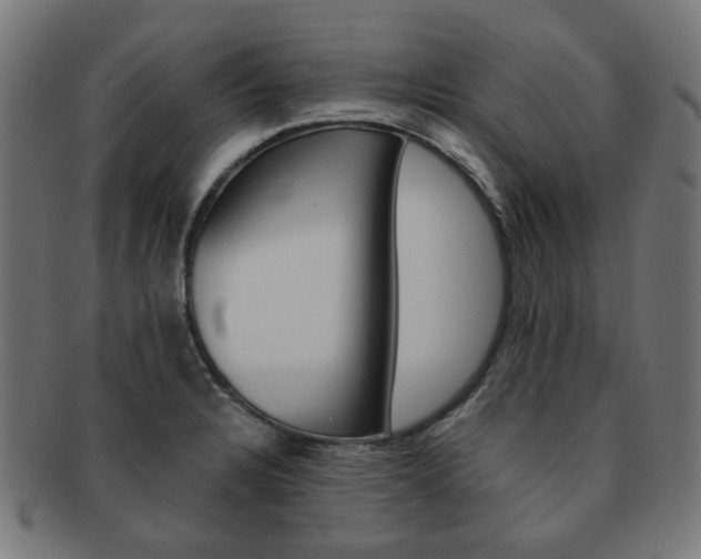 X0000092021328200709061322